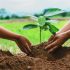 Low Carbon benoemt Steven Hughes tot Managing Director, Portfolio Management – 1